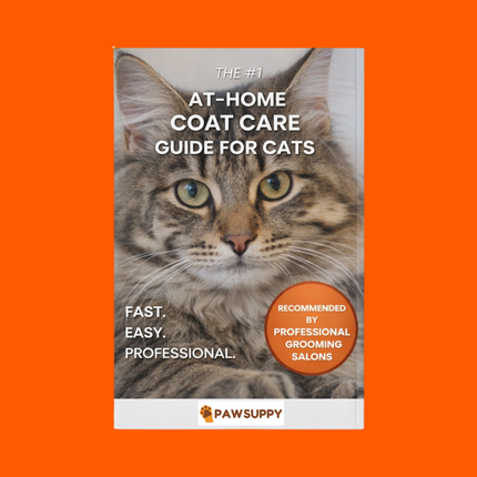 The #1 At-Home Coat Care Guide For Cats E-book