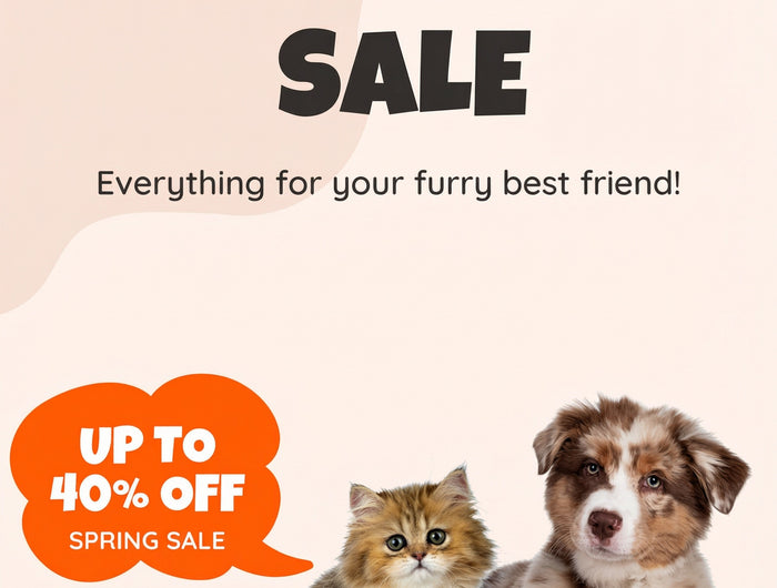 <h6>Quality you can trust for every part of their day</h6><h2><strong>THE BEST FOR </strong><em><strong>YOUR FURRY BEST FRIEND</strong></em></h2><p>Whether it’s playtime, mealtime or cuddle time, our products are made to keep your pet safe, comfortable and cared for. Durable, hygienic and thoughtfully designed for every fur family.</p>